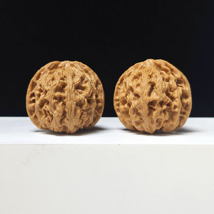 The "Apple Garden" Collector Pair | AA-Grade Collector Tier | 40.0mm x 42.0mm | PGY-AA-007697