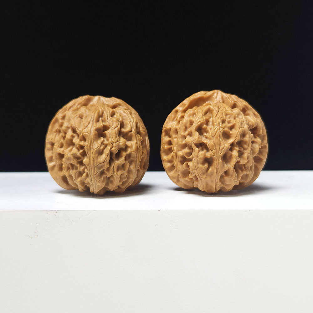 The "Apple Garden" Collector Pair | AA-Grade Collector Tier | 40.0mm x 42.0mm | PGY-AA-007697