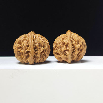 The "Apple Garden" Collector Pair | AA-Grade Collector Tier | 40.0mm x 42.0mm | PGY-AA-007697