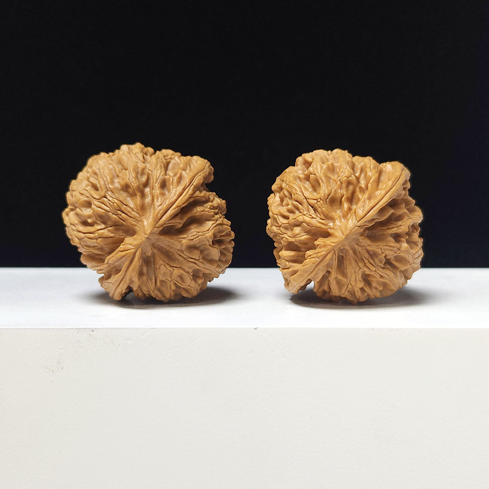 The "Apple Garden" Collector Pair | AA-Grade Collector Tier | 40.0mm x 42.0mm | PGY-AA-007697