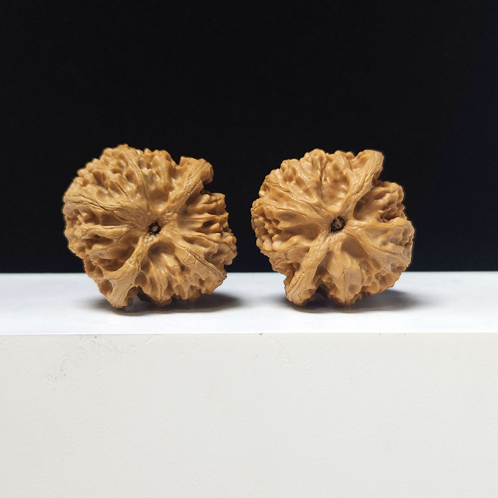 The "Apple Garden" Collector Pair | AA-Grade Collector Tier | 40.0mm x 42.0mm | PGY-AA-007697