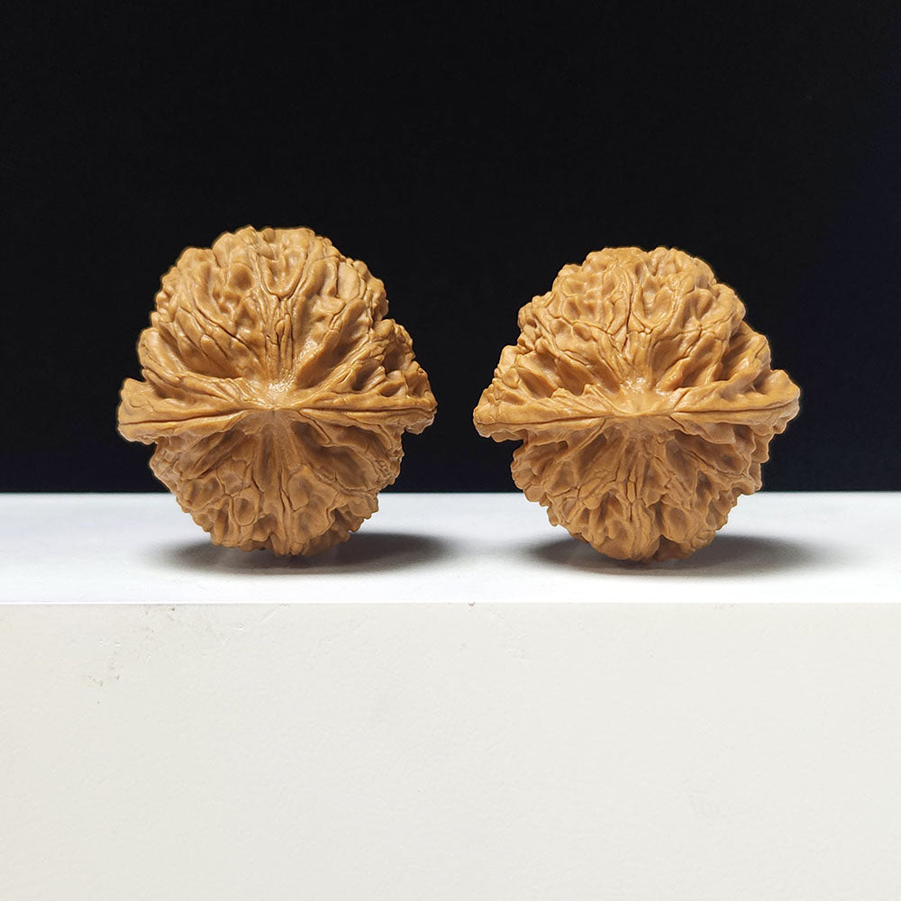 The "Apple Garden" Collector Pair | AA-Grade Collector Tier | 40.0mm x 42.0mm | PGY-AA-007697