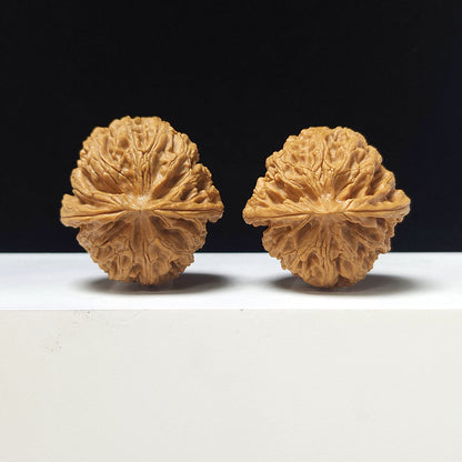 The "Apple Garden" Collector Pair | AA-Grade Collector Tier | 40.0mm x 42.0mm | PGY-AA-007697