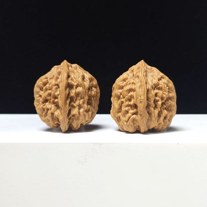 The "Wild Bull Hand-Twister" Collector Pair | A-Grade Collector Tier | 32.0mm x 33.0mm | SZ-A-062680