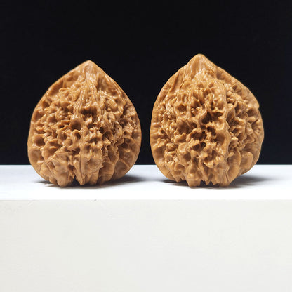 The "Concave-Base Grand Official's Hat" Ao Di Da Guan Mao Collector Pair | A-Grade Investment Tier | 46.0mm x 44.0mm | GM-A-029756