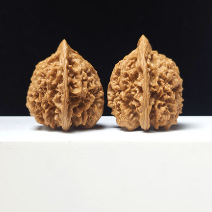 The "Concave-Base Grand Official's Hat" Ao Di Da Guan Mao Collector Pair | A-Grade Investment Tier | 46.0mm x 44.0mm | GM-A-029756