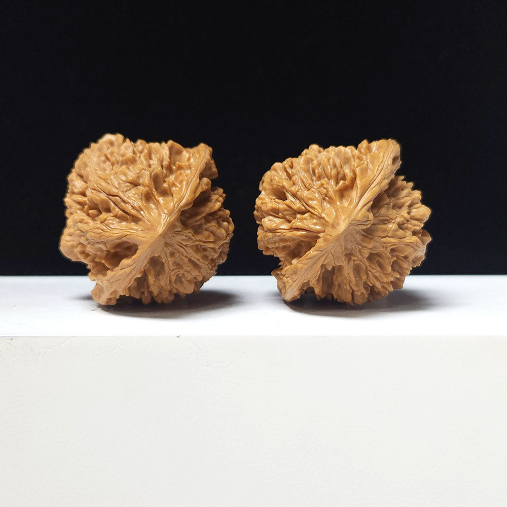The "Concave-Base Grand Official's Hat" Ao Di Da Guan Mao Collector Pair | A-Grade Investment Tier | 46.0mm x 44.0mm | GM-A-029756