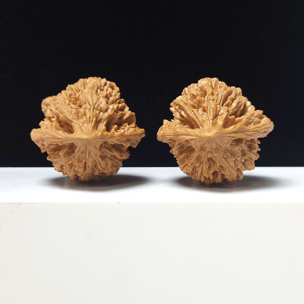 The "Concave-Base Grand Official's Hat" Ao Di Da Guan Mao Collector Pair | A-Grade Investment Tier | 46.0mm x 44.0mm | GM-A-029756