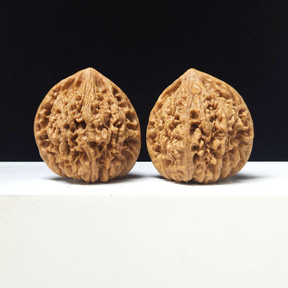 The "Grand Official's Hat" Da Guan Mao Collector Pair | A-Grade Investment Tier | 44.0mm x 41.0mm | GM-A-025752