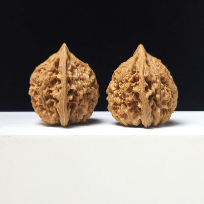 The "Grand Official's Hat" Da Guan Mao Collector Pair | A-Grade Investment Tier | 44.0mm x 41.0mm | GM-A-025752