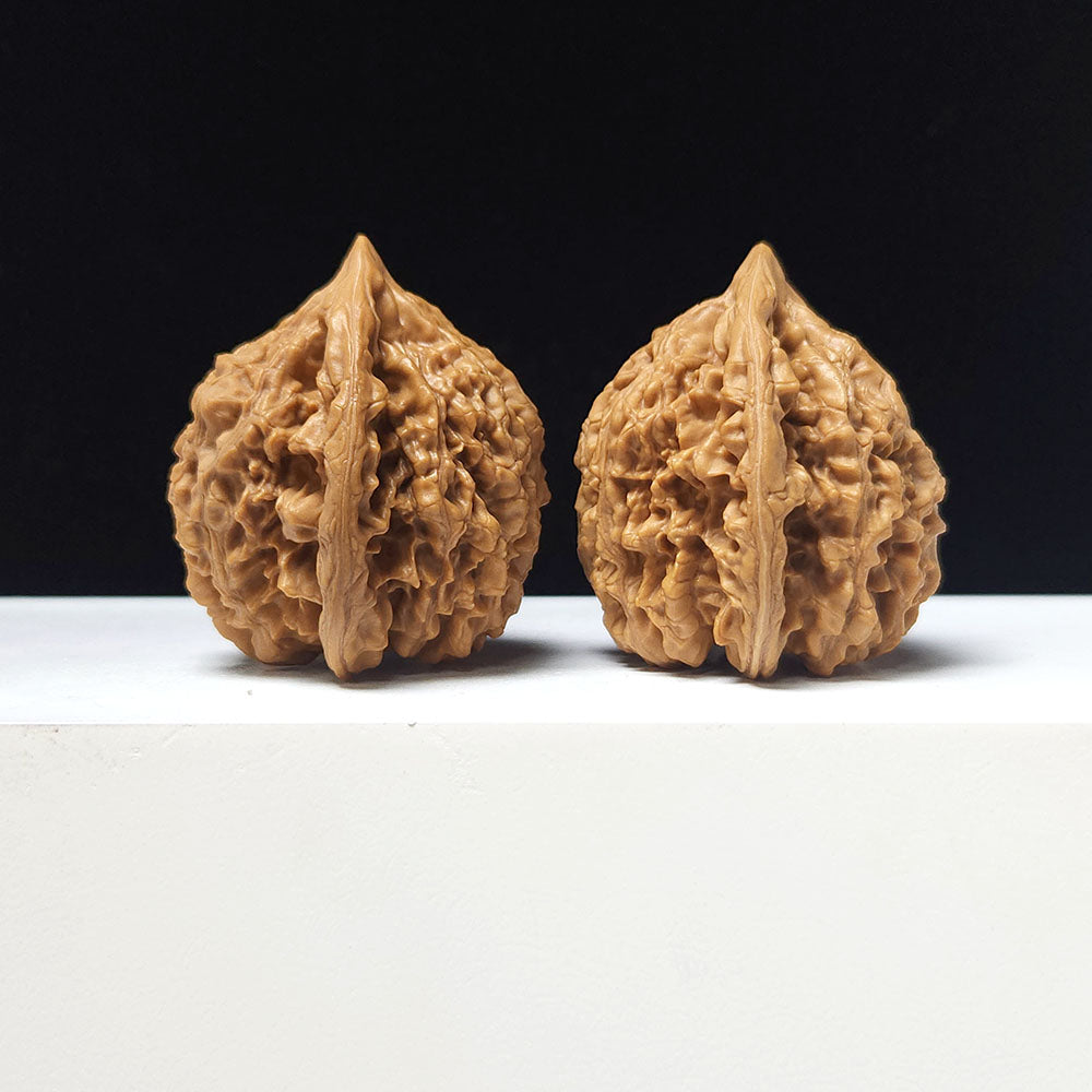 The "Grand Official's Hat" Da Guan Mao Collector Pair | A-Grade Investment Tier | 44.0mm x 41.0mm | GM-A-025752