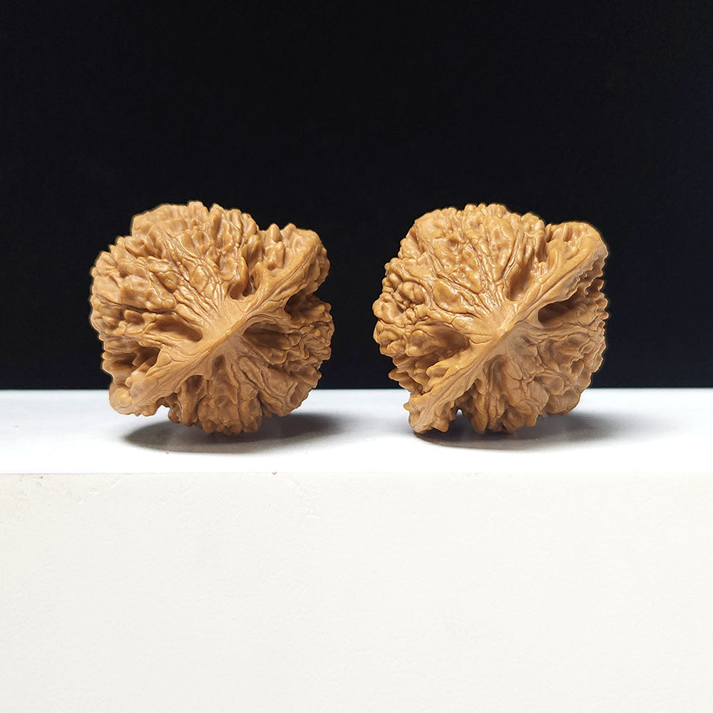 The "Grand Official's Hat" Da Guan Mao Collector Pair | A-Grade Investment Tier | 44.0mm x 41.0mm | GM-A-025752
