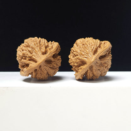 The "Grand Official's Hat" Da Guan Mao Collector Pair | A-Grade Investment Tier | 44.0mm x 41.0mm | GM-A-025752