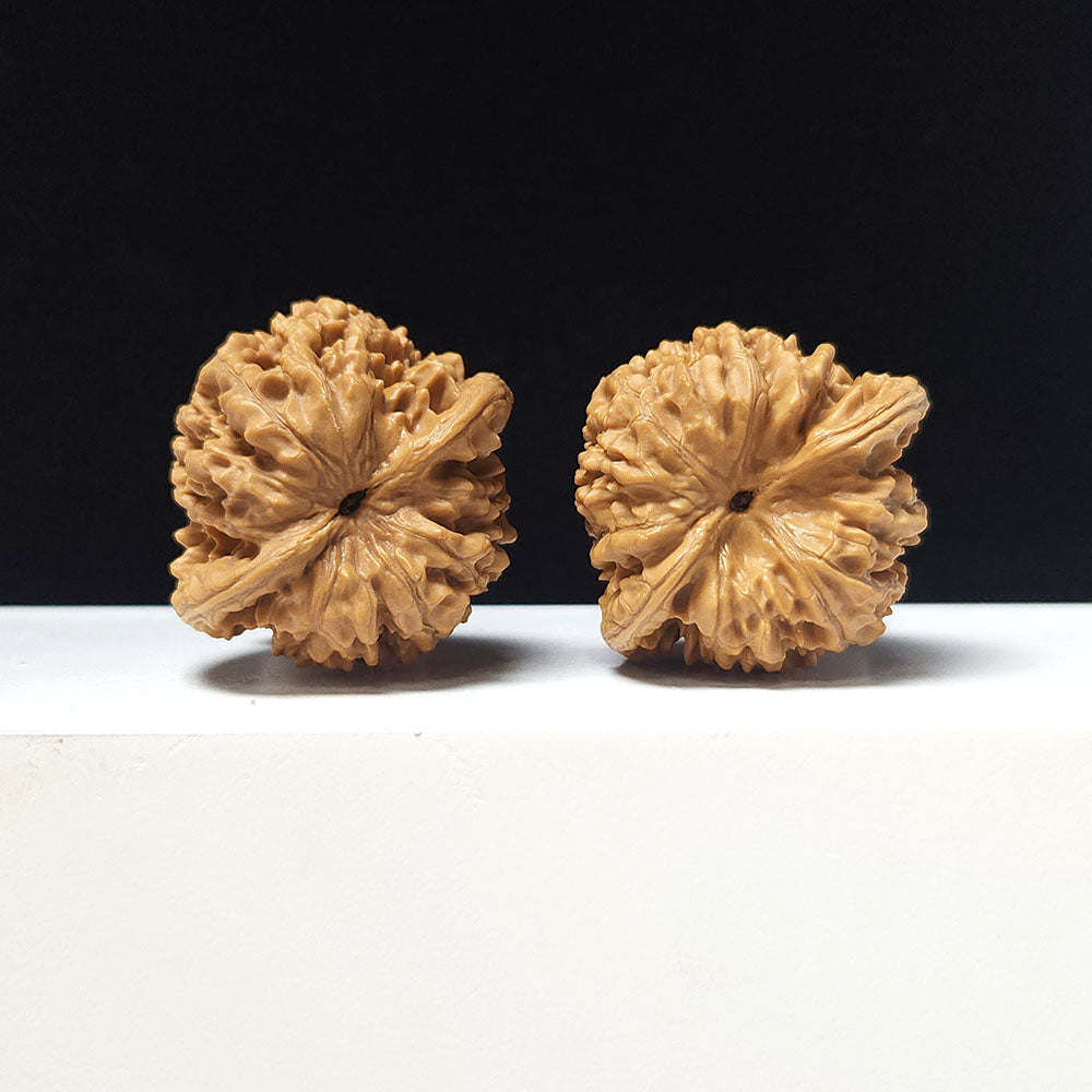 The "Grand Official's Hat" Da Guan Mao Collector Pair | A-Grade Investment Tier | 44.0mm x 41.0mm | GM-A-025752