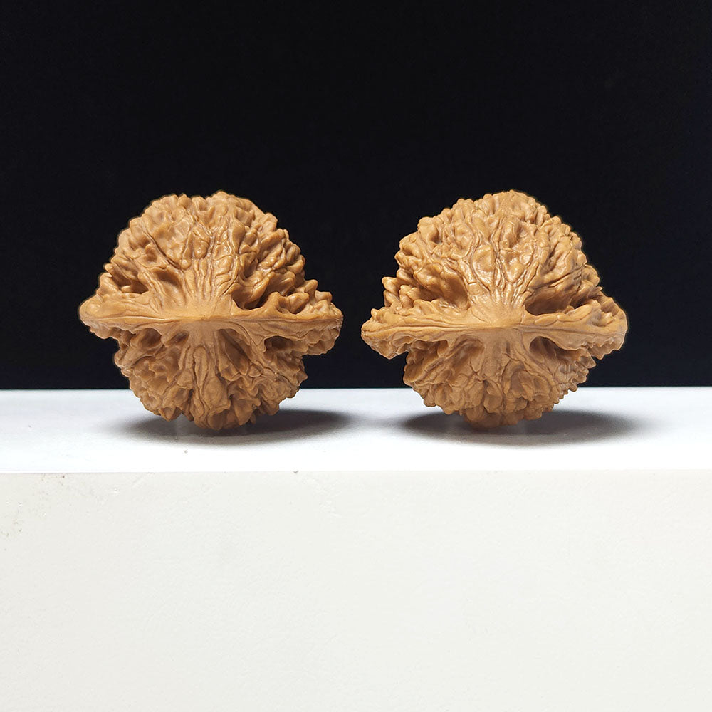 The "Grand Official's Hat" Da Guan Mao Collector Pair | A-Grade Investment Tier | 44.0mm x 41.0mm | GM-A-025752