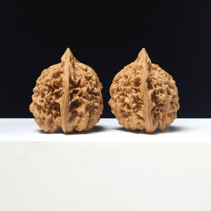 The "Official's Hat" Guan Mao Collector Pair | A-Grade Investment Tier | 43.0mm x 41.0mm | GM-A-026753
