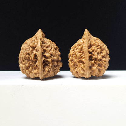 The "Official's Hat" Guan Mao Collector Pair | A-Grade Investment Tier | 43.0mm x 41.0mm | GM-A-026753