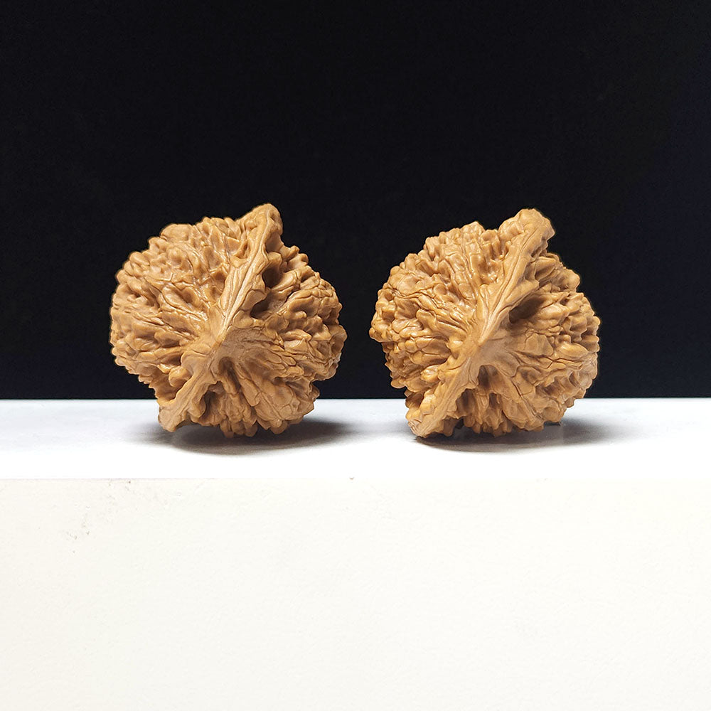 The "Official's Hat" Guan Mao Collector Pair | A-Grade Investment Tier | 43.0mm x 41.0mm | GM-A-026753