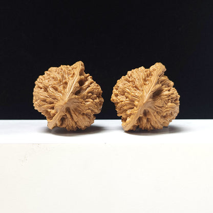 The "Official's Hat" Guan Mao Collector Pair | A-Grade Investment Tier | 43.0mm x 41.0mm | GM-A-026753