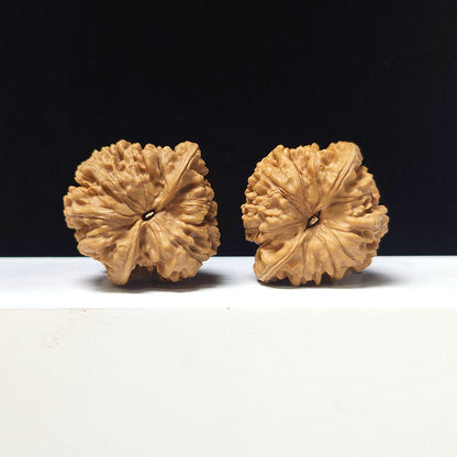 The "Official's Hat" Guan Mao Collector Pair | A-Grade Investment Tier | 43.0mm x 41.0mm | GM-A-026753