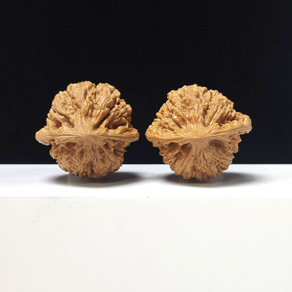 The "Official's Hat" Guan Mao Collector Pair | A-Grade Investment Tier | 43.0mm x 41.0mm | GM-A-026753