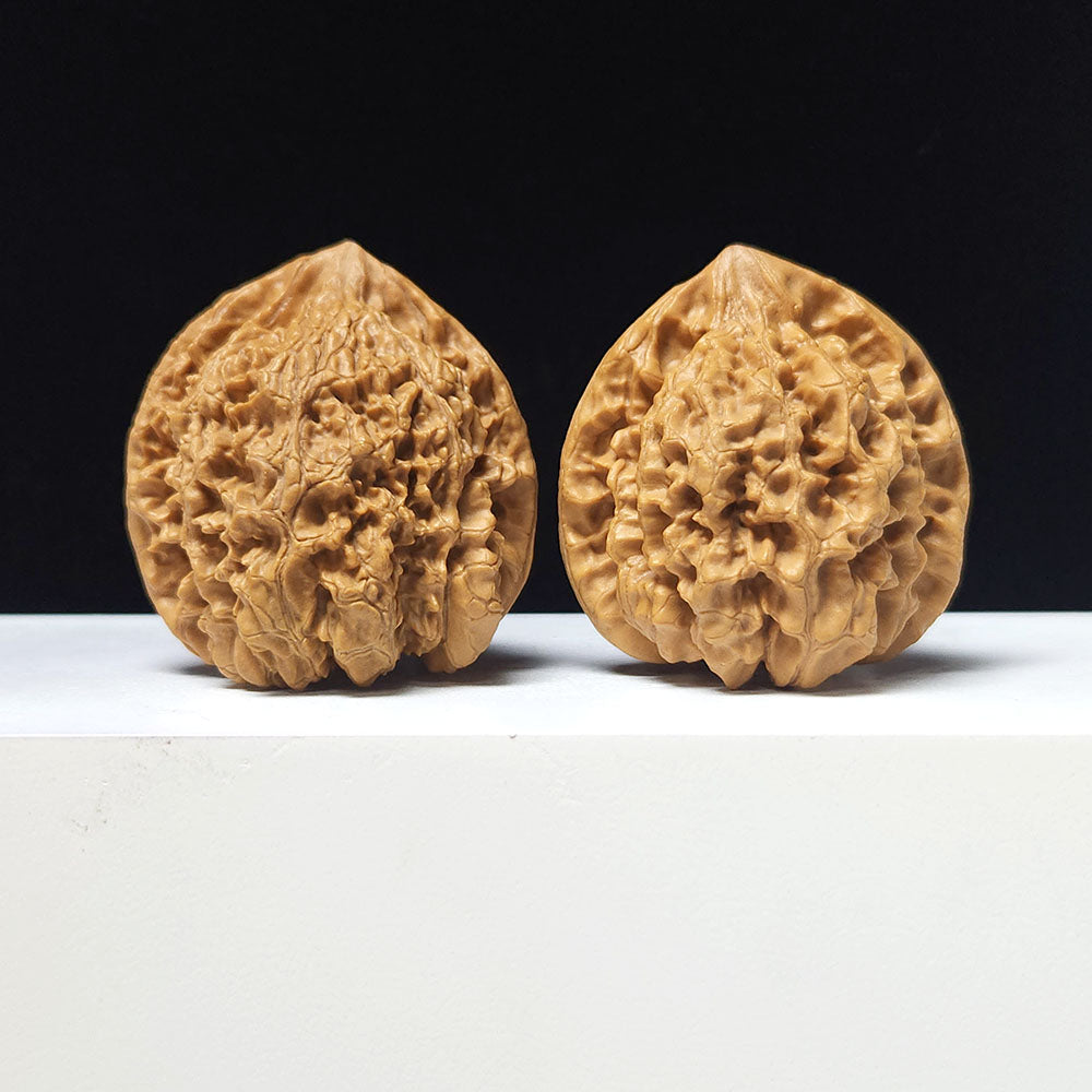 The "Grand Official's Hat" Da Guan Mao Collector Pair | A-Grade Investment Tier | 46.0mm x 42.0mm | GM-A-027754