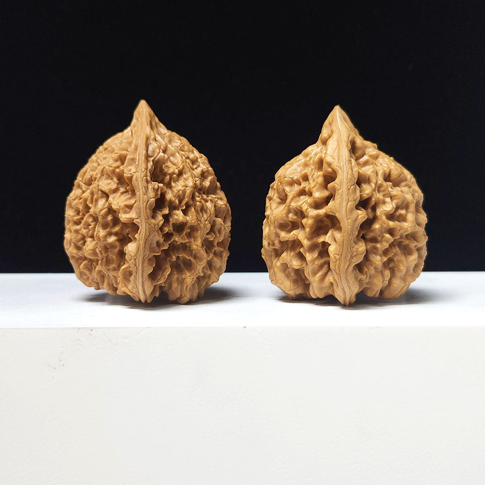 The "Grand Official's Hat" Da Guan Mao Collector Pair | A-Grade Investment Tier | 46.0mm x 42.0mm | GM-A-027754