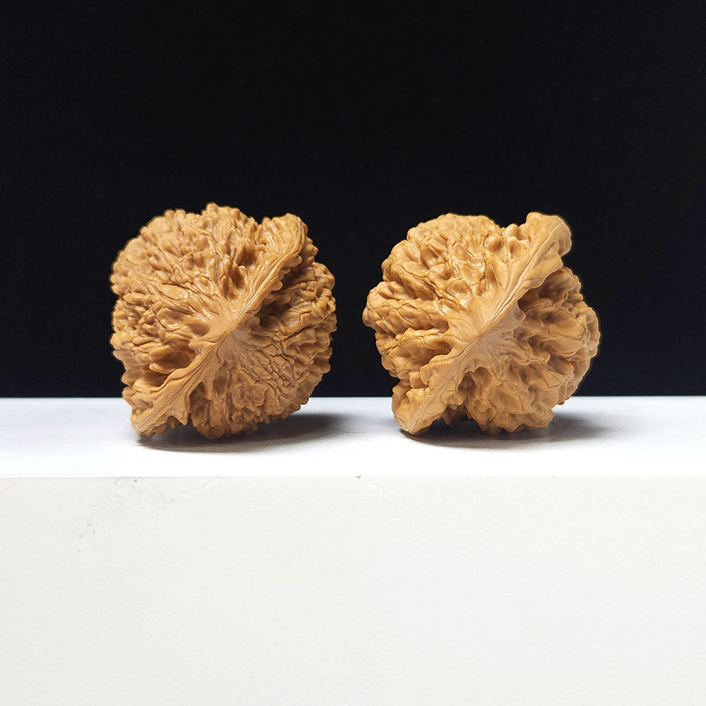 The "Grand Official's Hat" Da Guan Mao Collector Pair | A-Grade Investment Tier | 46.0mm x 42.0mm | GM-A-027754