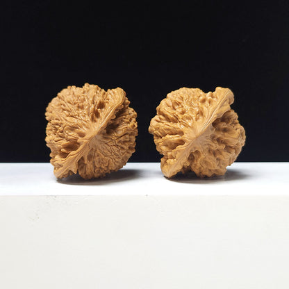 The "Grand Official's Hat" Da Guan Mao Collector Pair | A-Grade Investment Tier | 46.0mm x 42.0mm | GM-A-027754