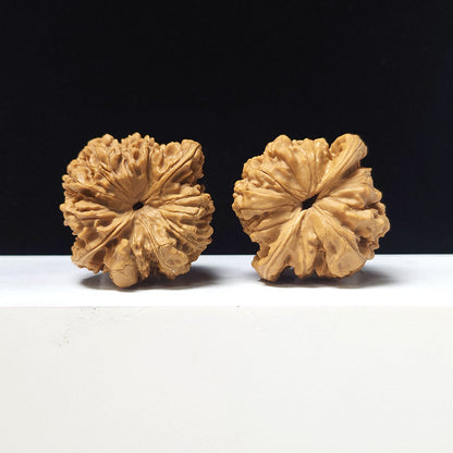 The "Grand Official's Hat" Da Guan Mao Collector Pair | A-Grade Investment Tier | 46.0mm x 42.0mm | GM-A-027754