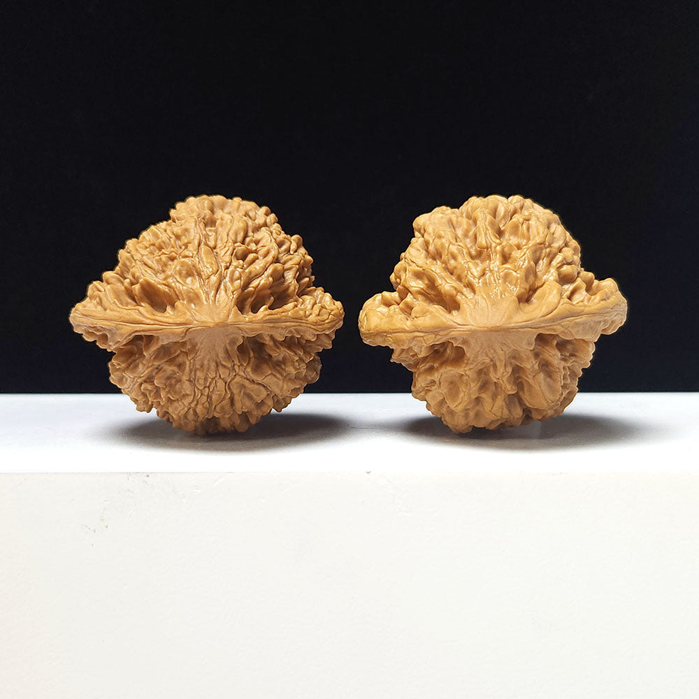 The "Grand Official's Hat" Da Guan Mao Collector Pair | A-Grade Investment Tier | 46.0mm x 42.0mm | GM-A-027754