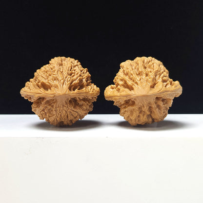 The "Grand Official's Hat" Da Guan Mao Collector Pair | A-Grade Investment Tier | 46.0mm x 42.0mm | GM-A-027754