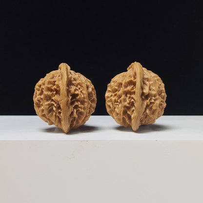 The "Noble Scholar" (Qin Gong Zi) Low-Profile Pair | 37.0mm x 34.0mm | QGZ-A-003035