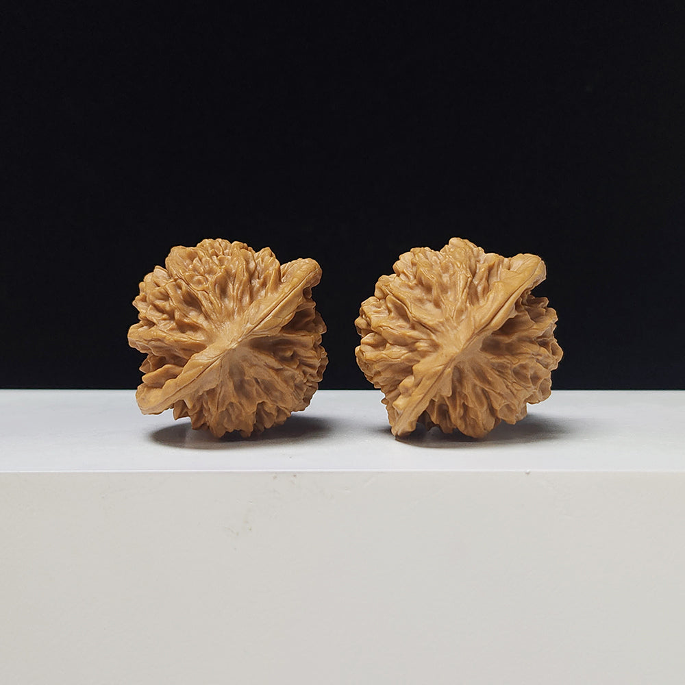 The "Noble Scholar" (Qin Gong Zi) Low-Profile Pair | 37.0mm x 34.0mm | QGZ-A-003035
