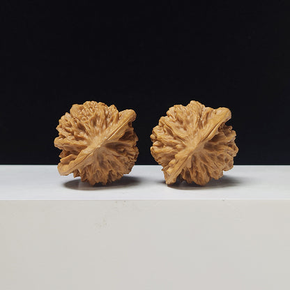 The "Noble Scholar" (Qin Gong Zi) Low-Profile Pair | 37.0mm x 34.0mm | QGZ-A-003035