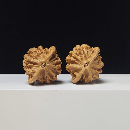 The "Noble Scholar" (Qin Gong Zi) Low-Profile Pair | 37.0mm x 34.0mm | QGZ-A-003035