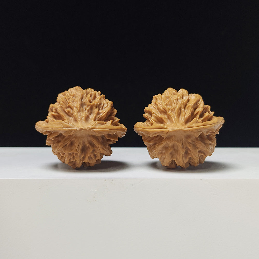 The "Noble Scholar" (Qin Gong Zi) Low-Profile Pair | 37.0mm x 34.0mm | QGZ-A-003035