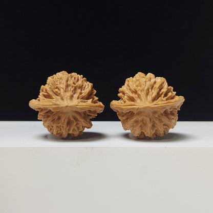 The "Noble Scholar" (Qin Gong Zi) Low-Profile Pair | 37.0mm x 34.0mm | QGZ-A-003035