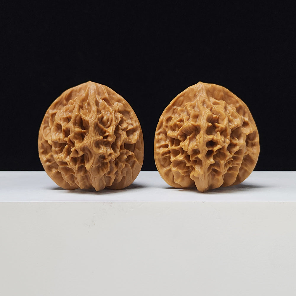 The "Imperial" Lion's Head Classic Pair | 42.0mm x 40.0mm | DW-A-003023