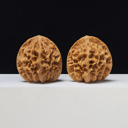 The "Imperial" Lion's Head Classic Pair | 42.0mm x 40.0mm | DW-A-003023