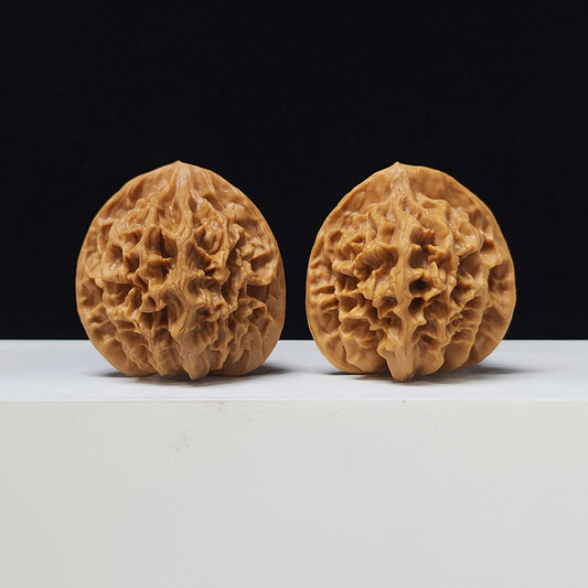 The "Imperial" Lion's Head Classic Pair | 42.0mm x 40.0mm | DW-A-003023