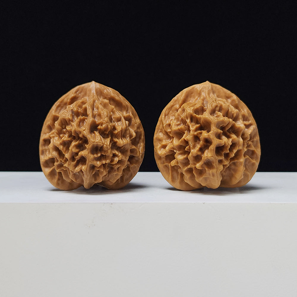 The "Imperial" Lion's Head Classic Pair | 42.0mm x 40.0mm | DW-A-003023