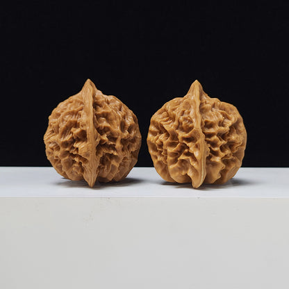 The "Imperial" Lion's Head Classic Pair | 42.0mm x 40.0mm | DW-A-003023
