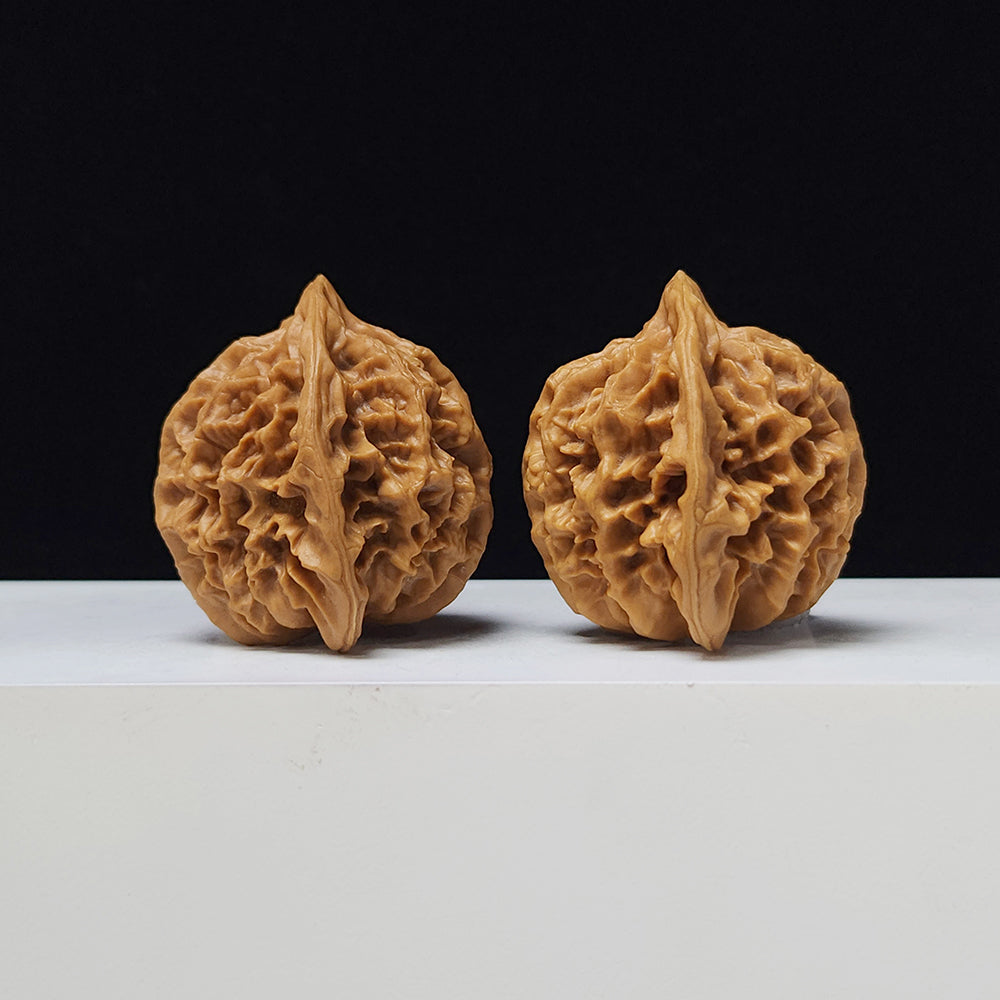 The "Imperial" Lion's Head Classic Pair | 42.0mm x 40.0mm | DW-A-003023
