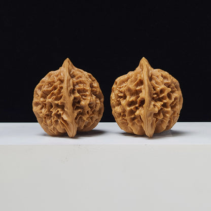 The "Imperial" Lion's Head Classic Pair | 42.0mm x 40.0mm | DW-A-003023