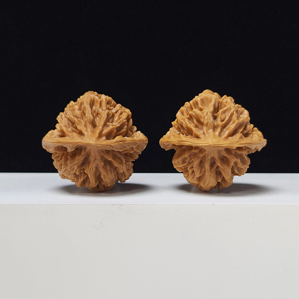 The "Imperial" Lion's Head Classic Pair | 42.0mm x 40.0mm | DW-A-003023