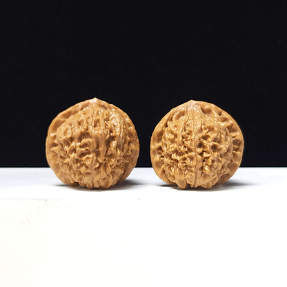 The "Golden Bull Official's Hat" Jin Niu Guan Mao Collector Pair | AA-Grade Masterpiece Tier | 38.0mm x 37.0mm | GM-AA-015641