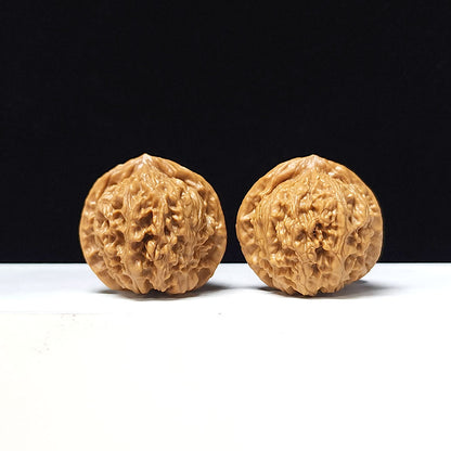 The "Golden Bull Official's Hat" Jin Niu Guan Mao Collector Pair | AA-Grade Masterpiece Tier | 38.0mm x 37.0mm | GM-AA-015641