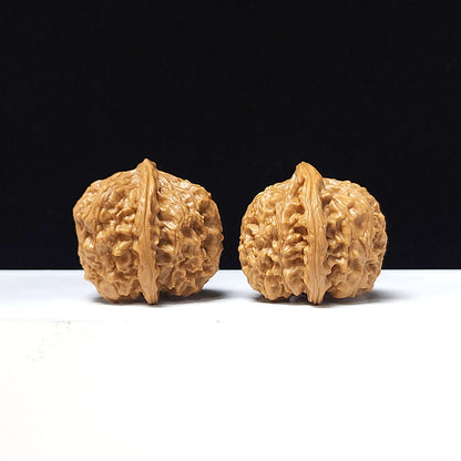 The "Golden Bull Official's Hat" Jin Niu Guan Mao Collector Pair | AA-Grade Masterpiece Tier | 38.0mm x 37.0mm | GM-AA-015641
