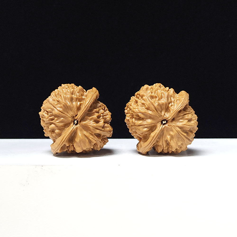 The "Golden Bull Official's Hat" Jin Niu Guan Mao Collector Pair | AA-Grade Masterpiece Tier | 38.0mm x 37.0mm | GM-AA-015641